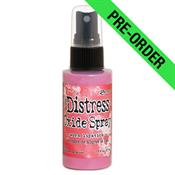 Worn Lipstick- Distress Oxide Spray